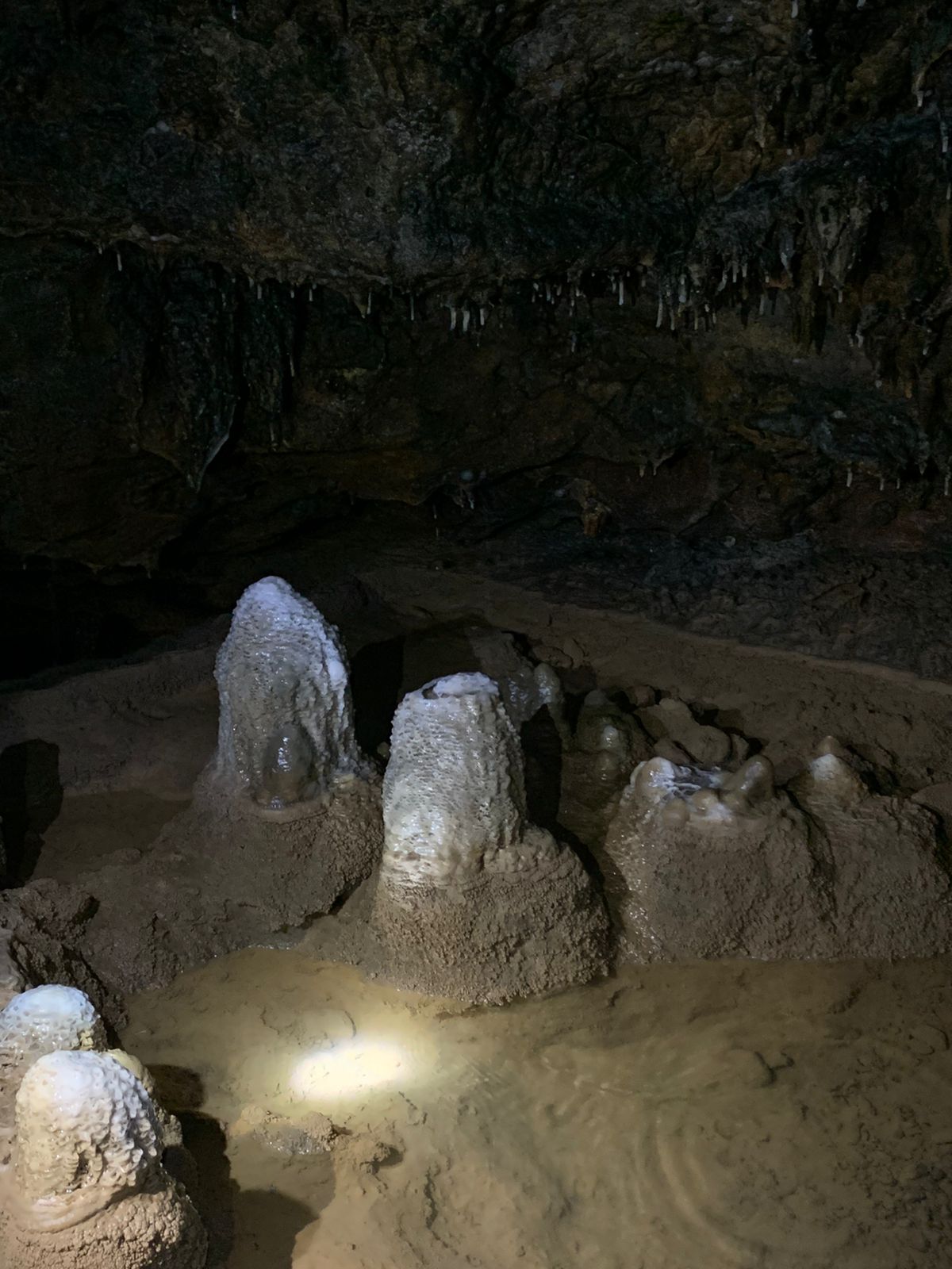 Stalakmit Gua Cerme Yogyakarta