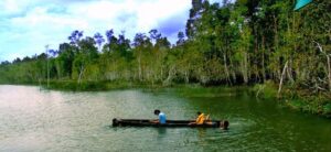 Taman Nasional Pulau Papua