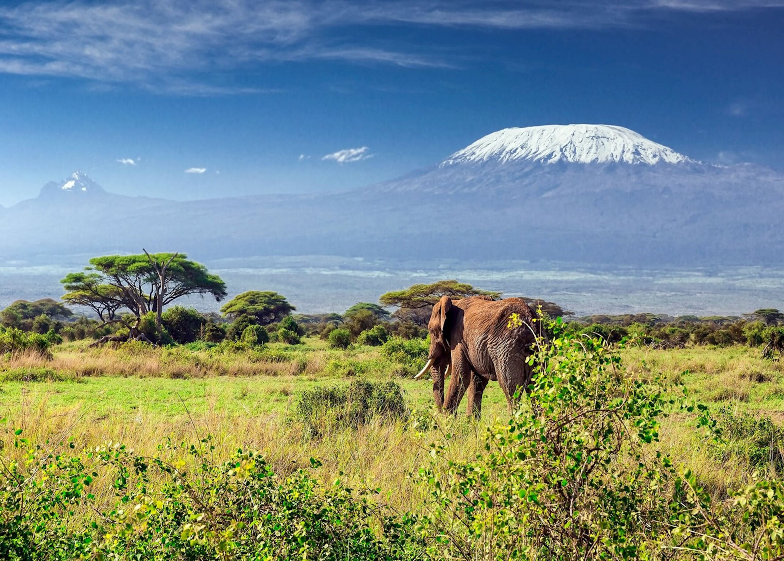 Taman Nasional Gunung Kilimanjaro