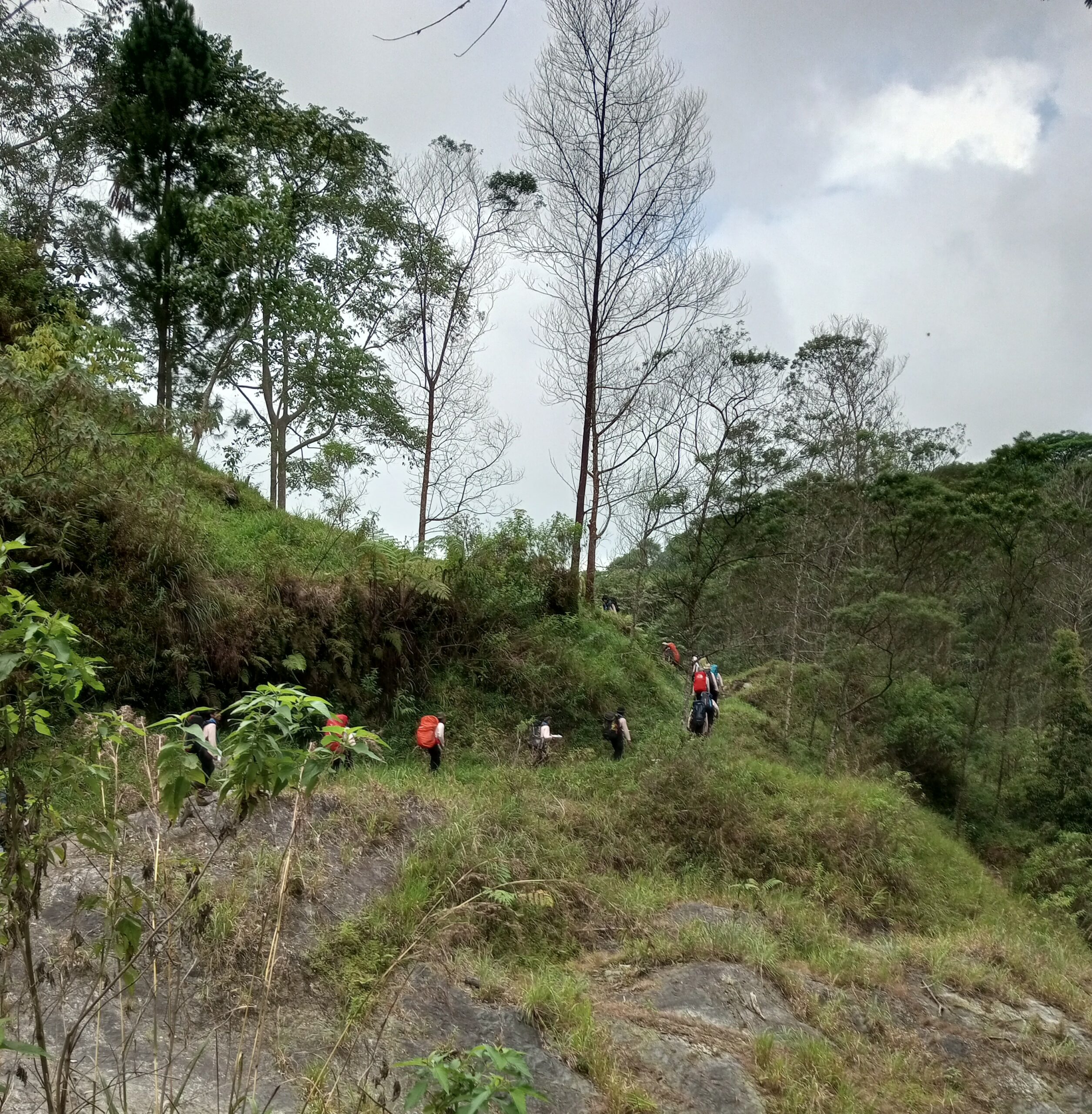 Wisata Trekking di Kalikuning Merapi